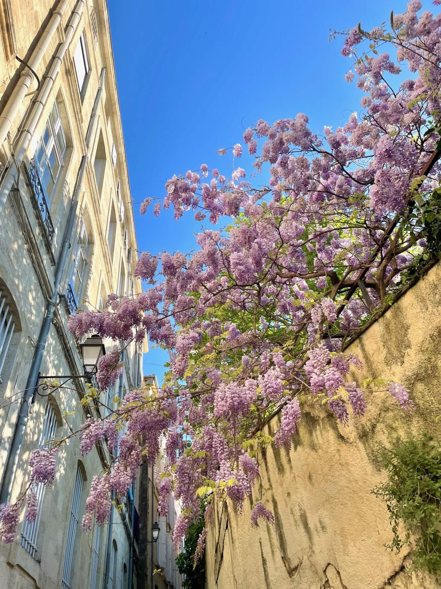 Que faire à Montpellier