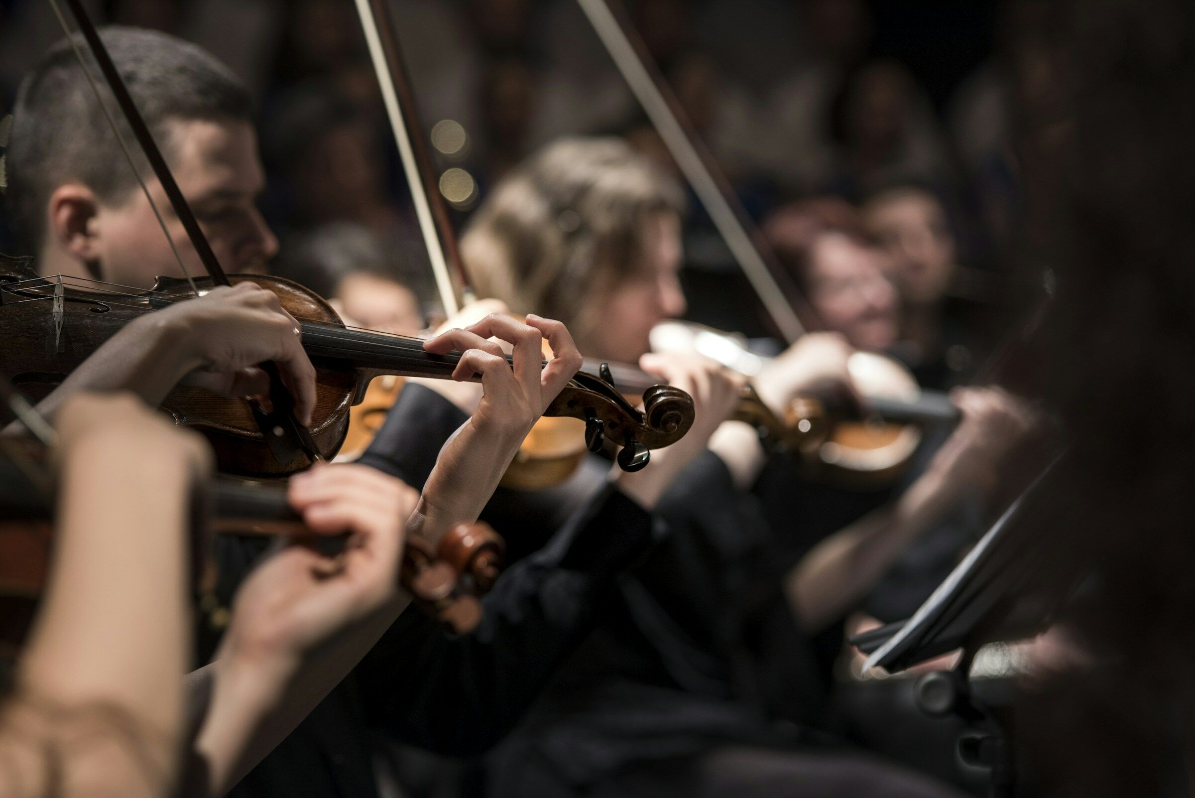 Musiciens jouant du violon, concert de musique classique