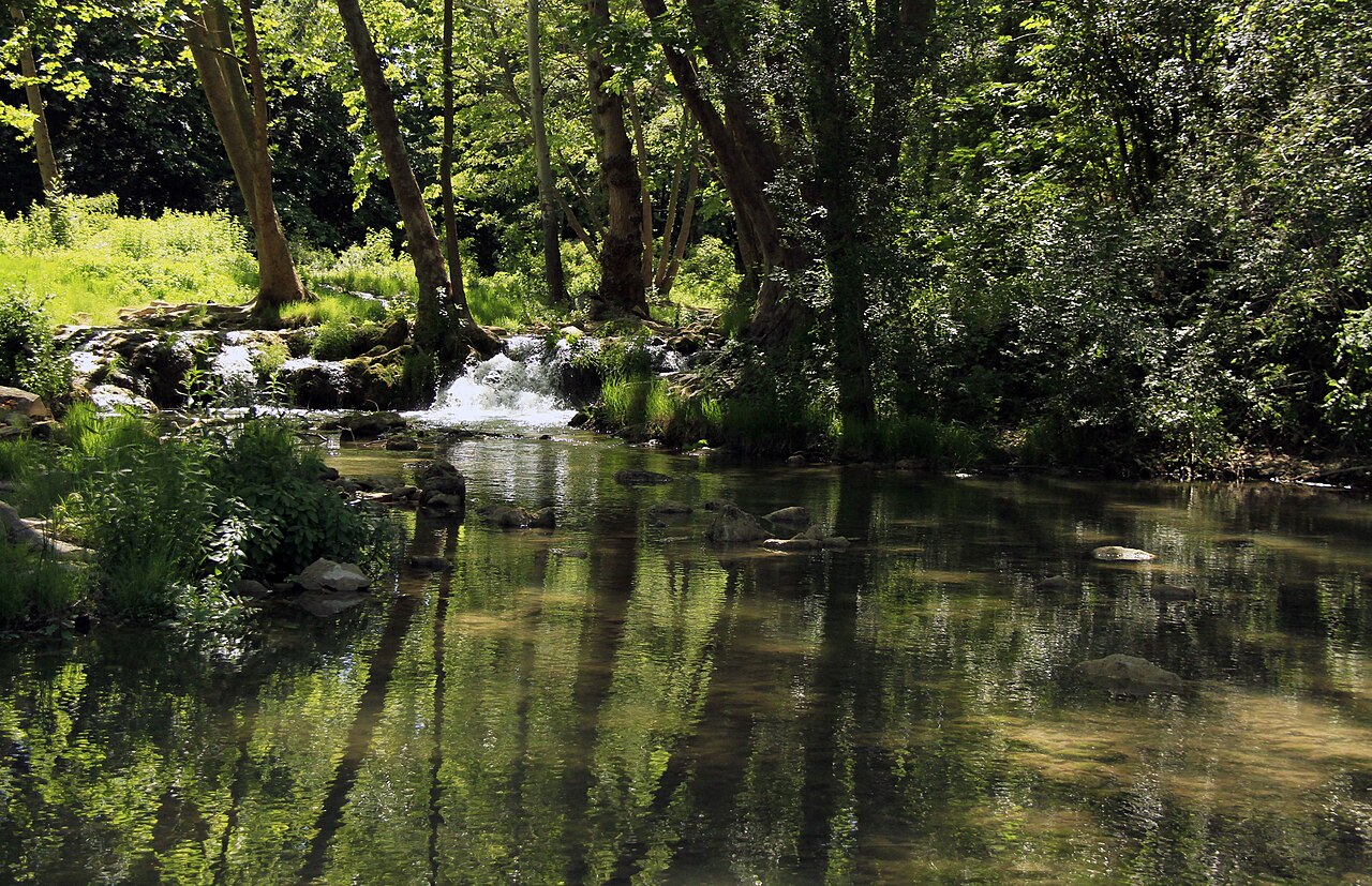 Le sentier des berges du Lez